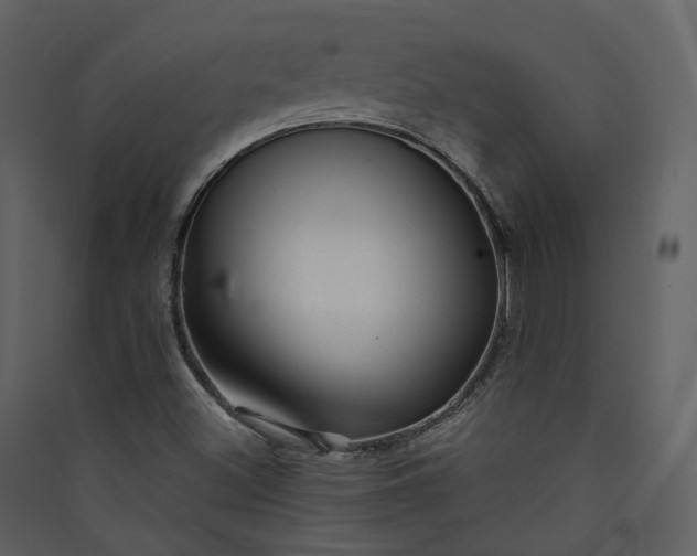 X0000089951500200707131504