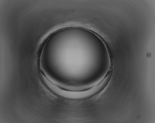 X0000089951502200707131504