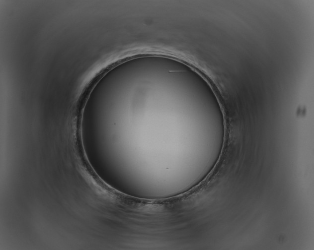 X0000089951503200707131504