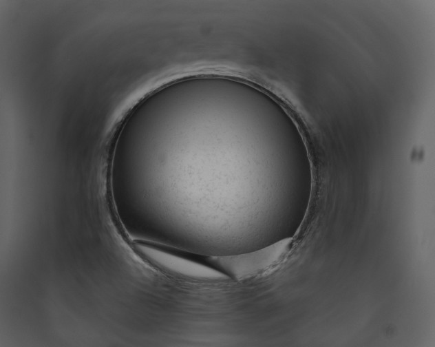 X0000089951504200707131504