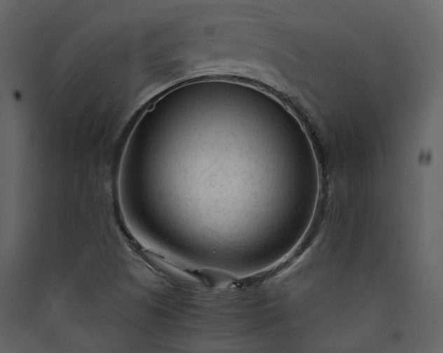 X0000089951505200707131504