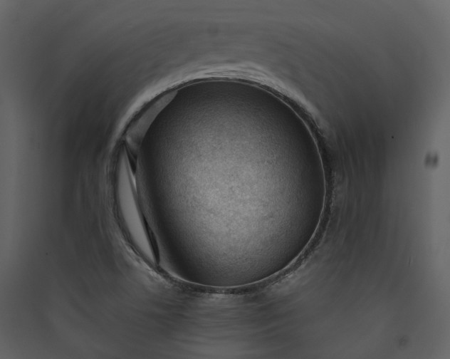 X0000089951506200707131504