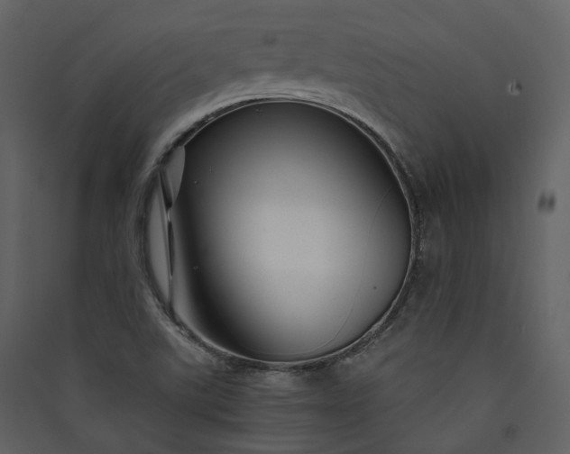 X0000089951507200707131504