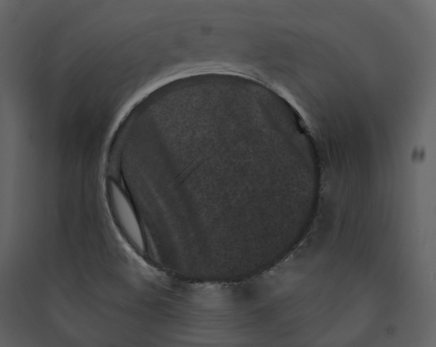 X0000089951508200707131504