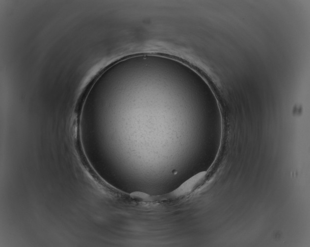 X0000089951509200707131504