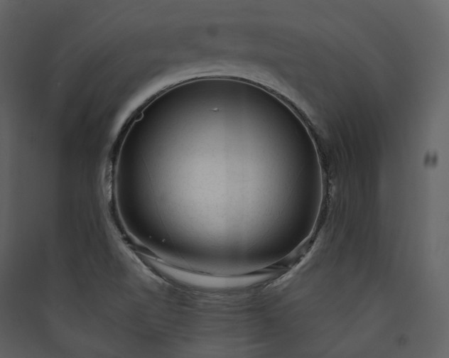 X0000089951510200707131504