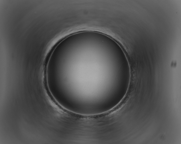 X0000089951511200707131505
