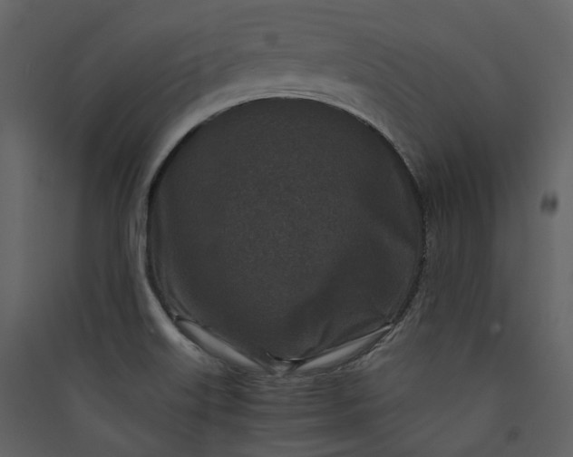 X0000089951515200707131505