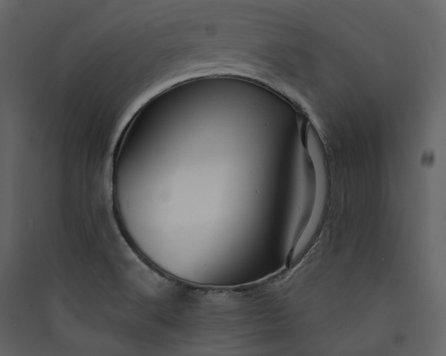 X0000089951516200707131505