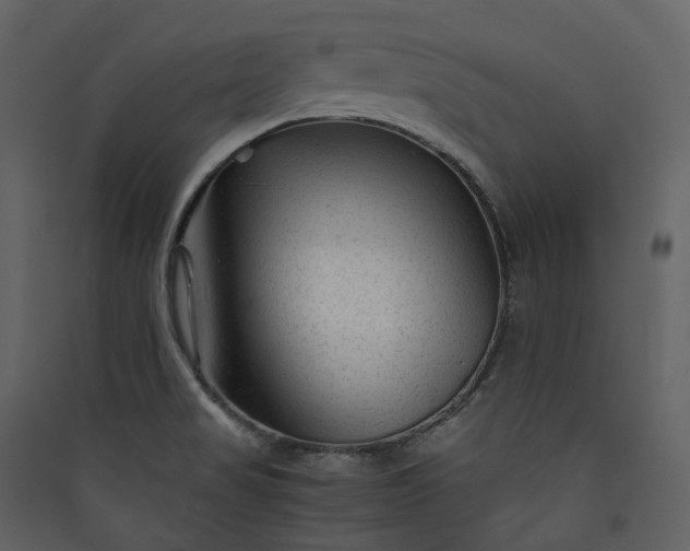 X0000089951517200707131505