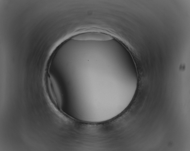 X0000089951518200707131505
