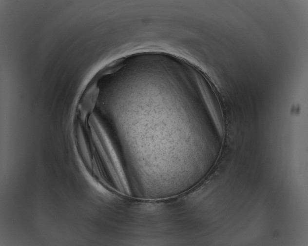 X0000089951519200707131505
