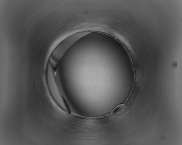 X0000089951520200707131505