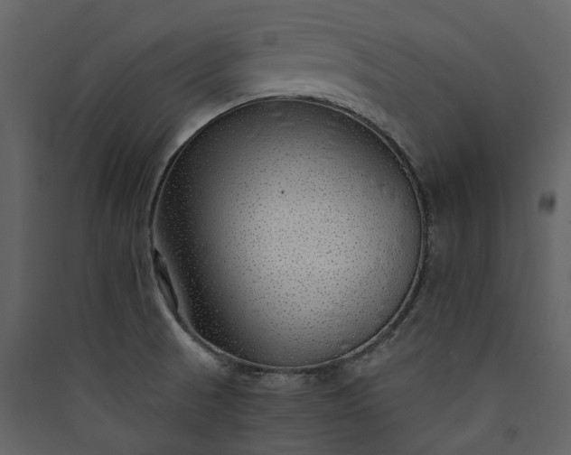 X0000089951521200707131505