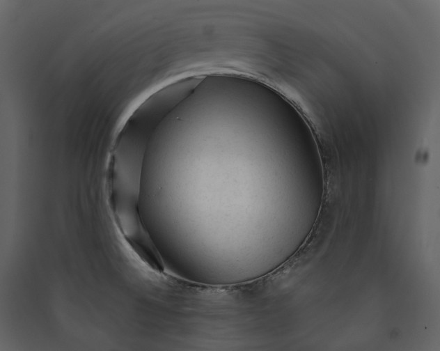 X0000089951524200707131505