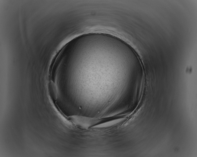 X0000089951525200707131505