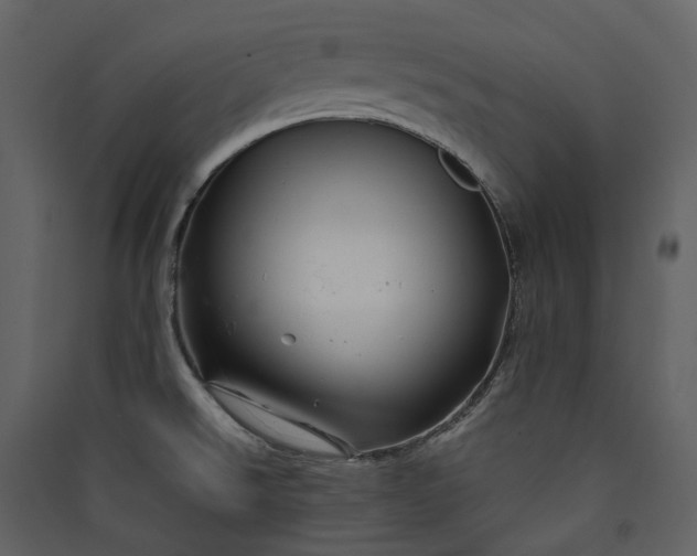X0000089951526200707131505