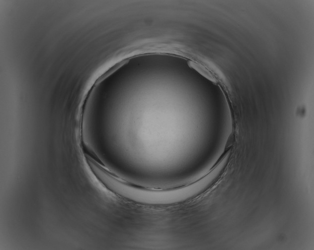 X0000089951528200707131505