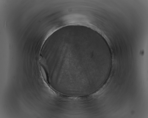 X0000089951529200707131505