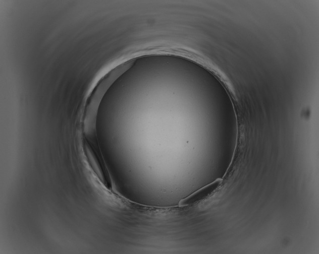 X0000089951530200707131505