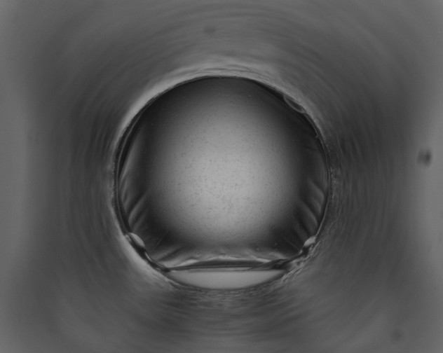 X0000089951531200707131505