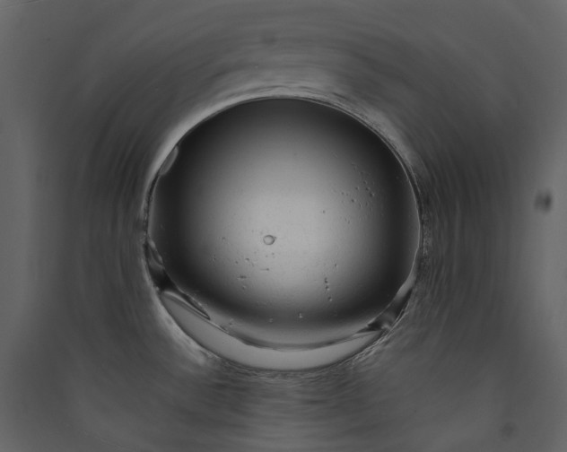 X0000089951532200707131505