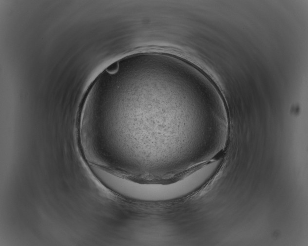 X0000089951533200707131505