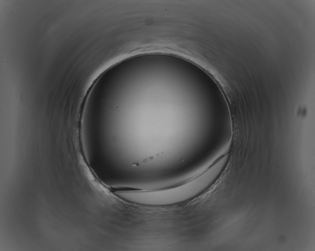 X0000089951534200707131505