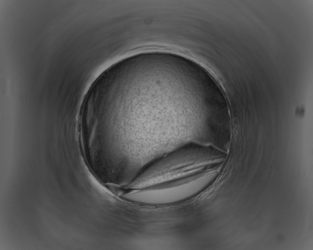 X0000089951535200707131505