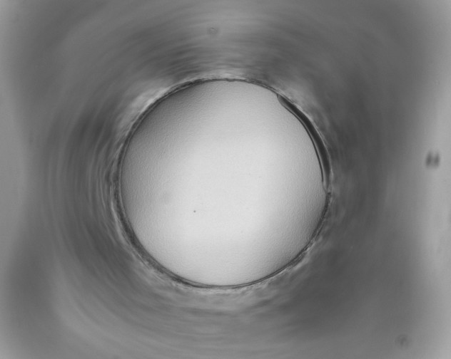 X0000089950001200707201936