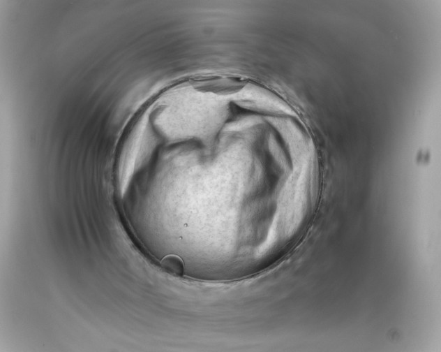 X0000089950002200707201936