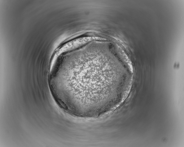 X0000089950003200707201936