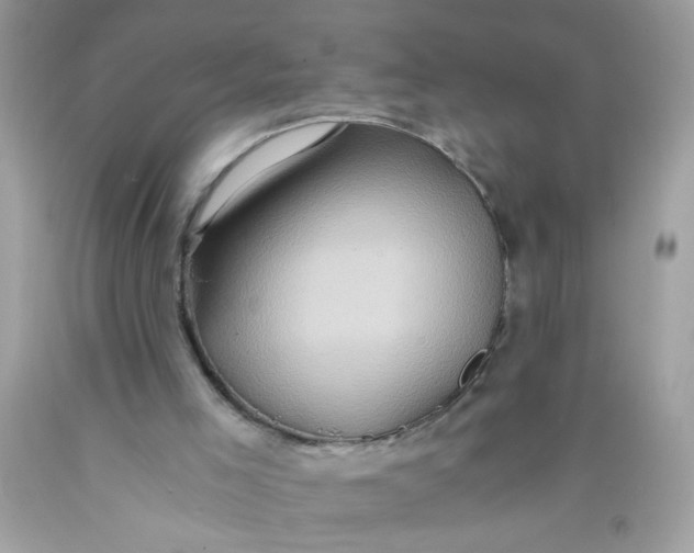 X0000089950005200707201936