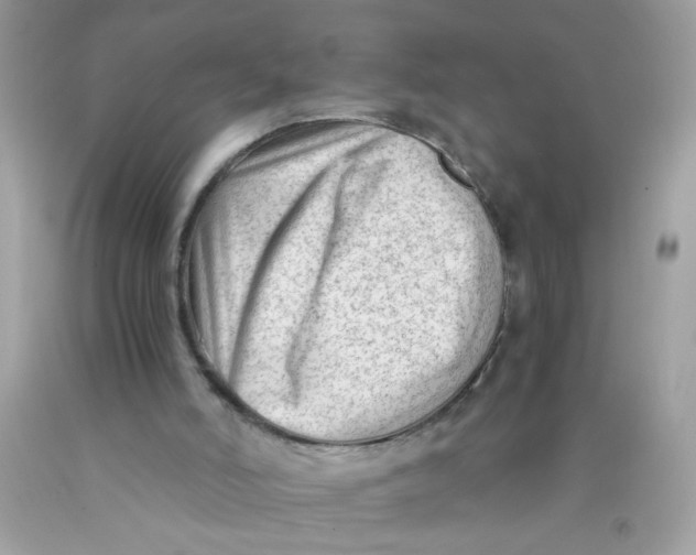 X0000089950006200707201936