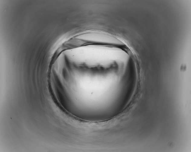 X0000089950007200707201936