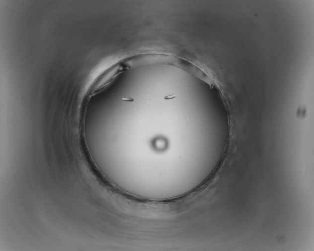 X0000089950008200707201936