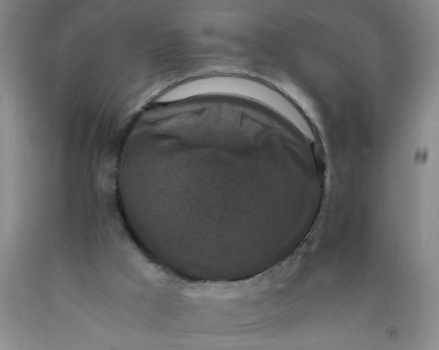 X0000089950009200707201936