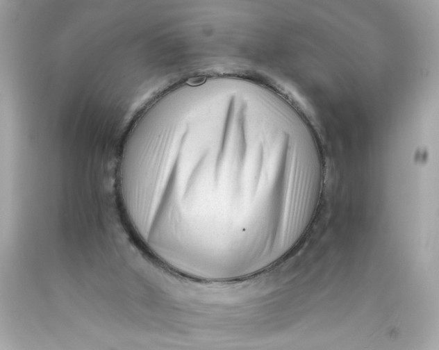 X0000089950010200707201936