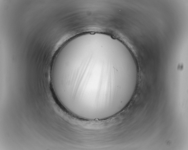 X0000089950011200707201936