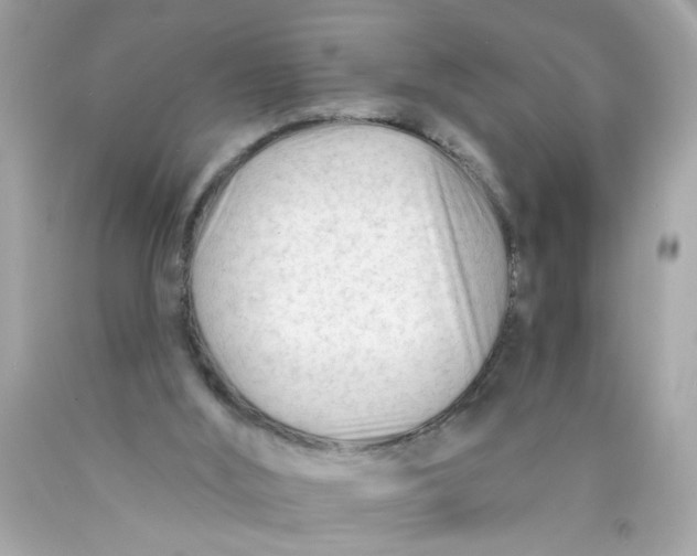 X0000089950012200707201935