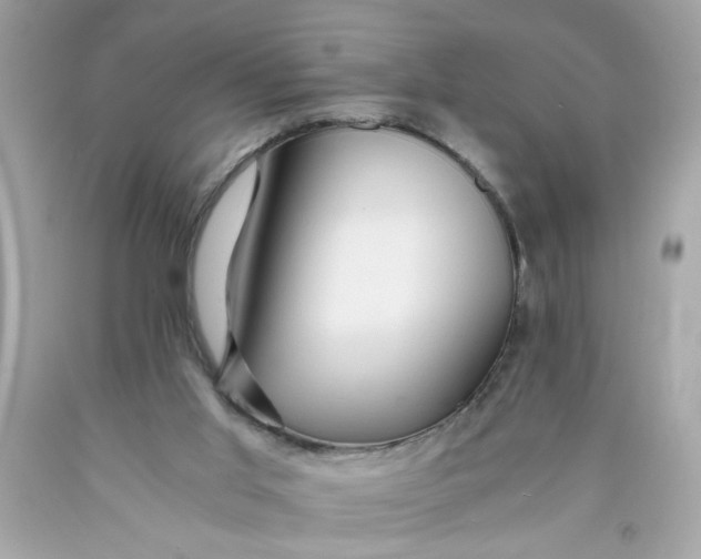 X0000089950013200707201935