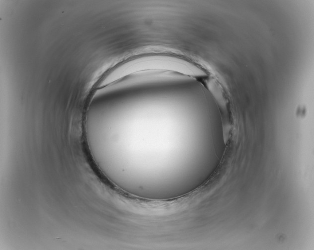 X0000089950015200707201935