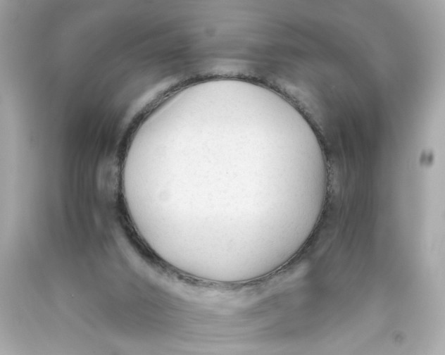 X0000089950016200707201935