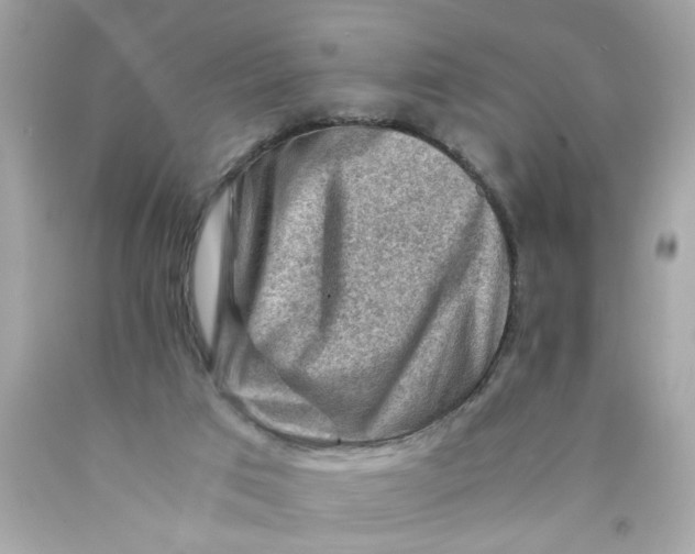 X0000089950017200707201935