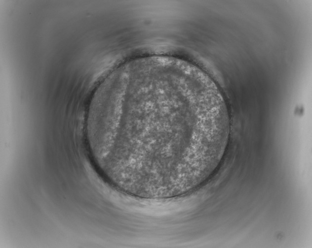 X0000089950018200707201935