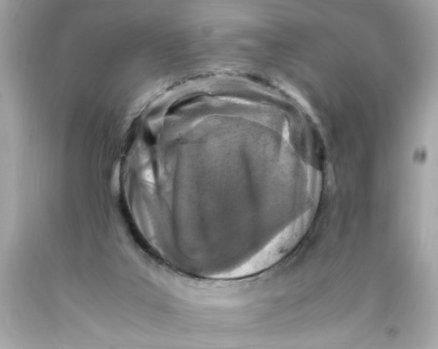 X0000089950019200707201935