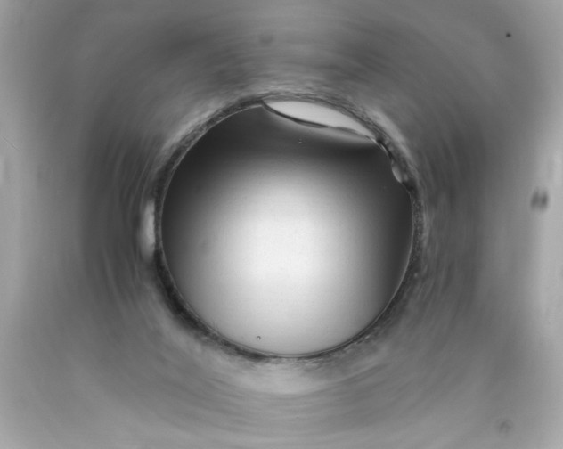 X0000089950020200707201935