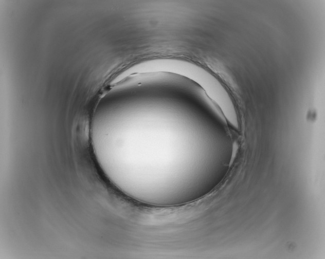 X0000089950021200707201935