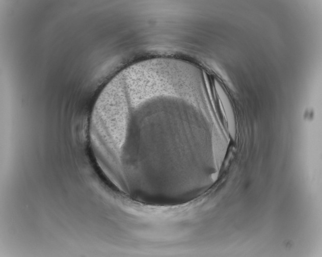 X0000089950023200707201935