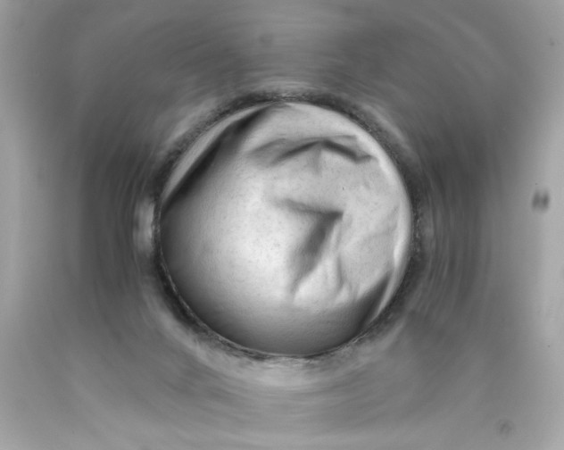 X0000089950024200707201935